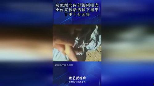 缅北爆料视频,视频揭露惊人内幕 第2张 缅北爆料视频,视频揭露惊人内幕 第2张